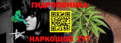 apvp Лесосибирск