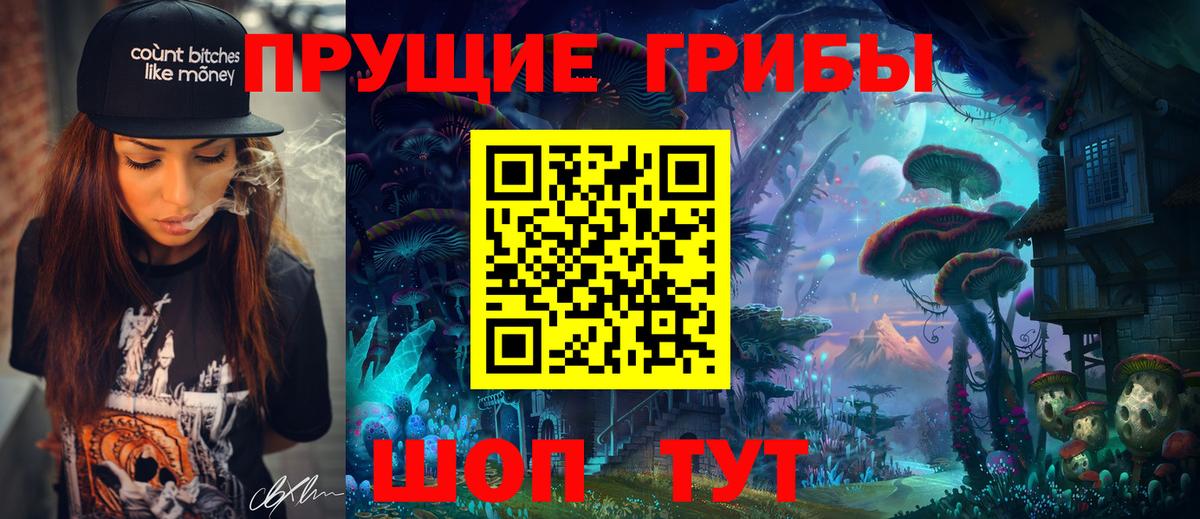 Елец  купить   Вход с VPN  Псилоцибиновые грибы MAGIC MUSHROOMS 