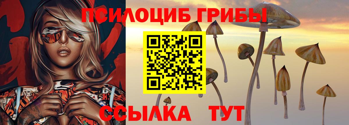 Галлюциногенные грибы мицелий Елец